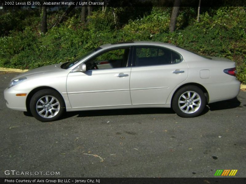 Alabaster Metallic / Light Charcoal 2002 Lexus ES 300