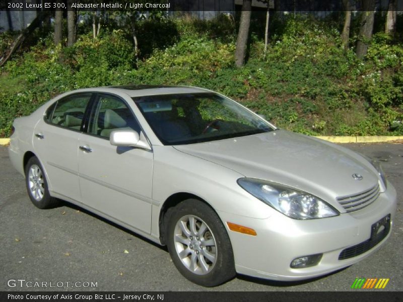 Alabaster Metallic / Light Charcoal 2002 Lexus ES 300