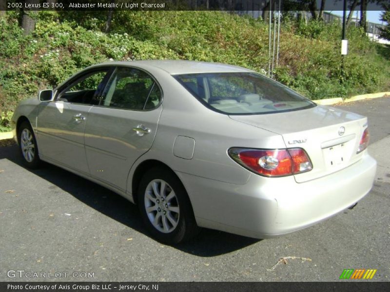 Alabaster Metallic / Light Charcoal 2002 Lexus ES 300