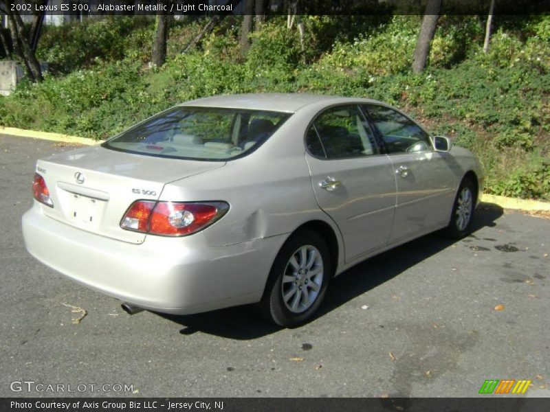 Alabaster Metallic / Light Charcoal 2002 Lexus ES 300