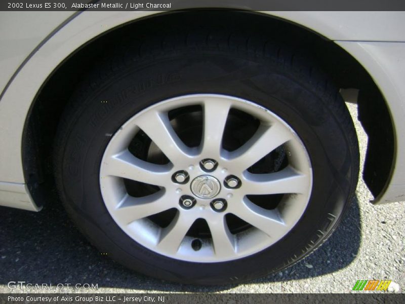 Alabaster Metallic / Light Charcoal 2002 Lexus ES 300