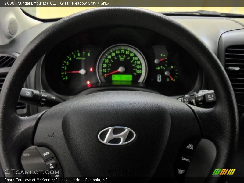 Green Meadow Gray / Gray 2008 Hyundai Entourage GLS