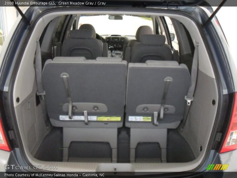 Green Meadow Gray / Gray 2008 Hyundai Entourage GLS
