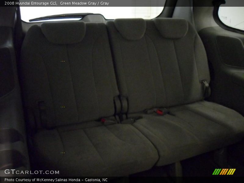 Green Meadow Gray / Gray 2008 Hyundai Entourage GLS