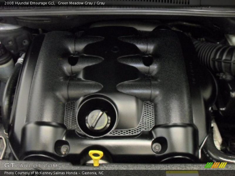 Green Meadow Gray / Gray 2008 Hyundai Entourage GLS