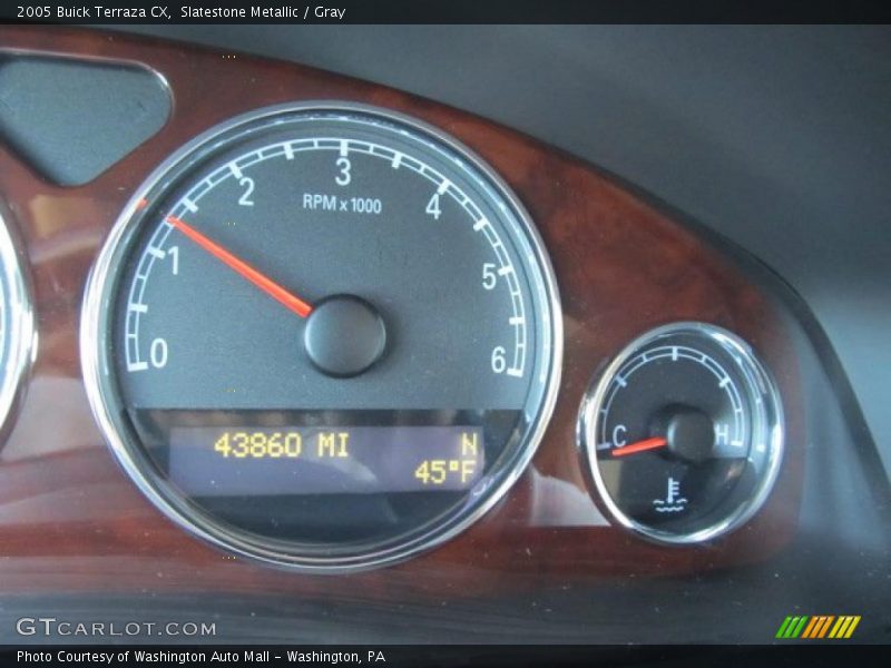 Slatestone Metallic / Gray 2005 Buick Terraza CX