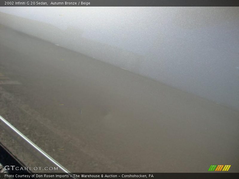 Autumn Bronze / Beige 2002 Infiniti G 20 Sedan