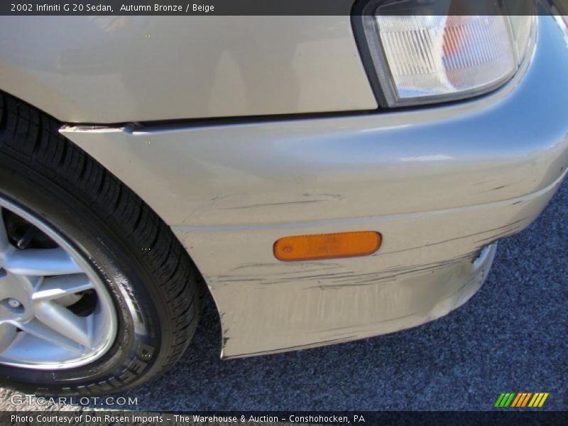 Autumn Bronze / Beige 2002 Infiniti G 20 Sedan