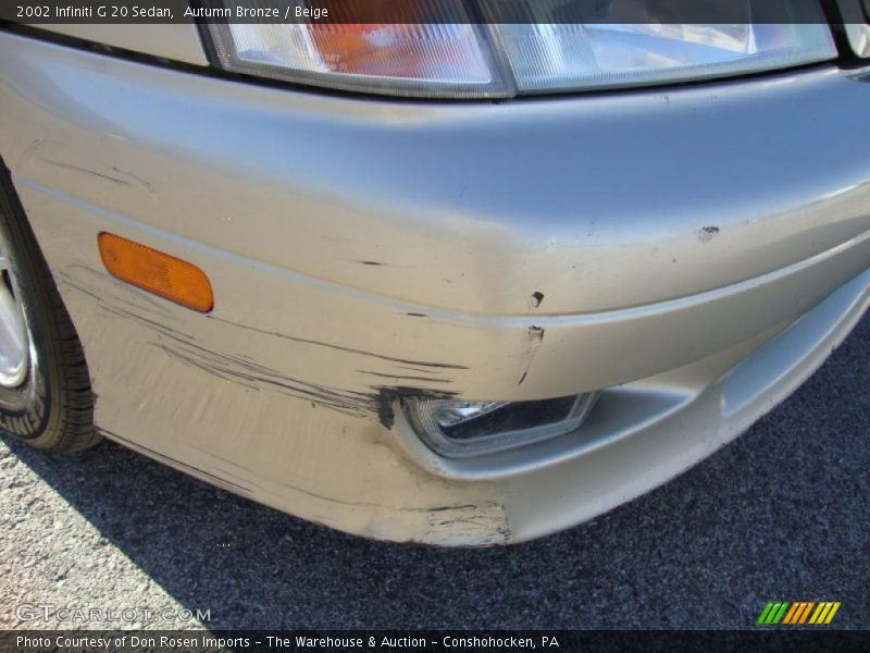 Autumn Bronze / Beige 2002 Infiniti G 20 Sedan