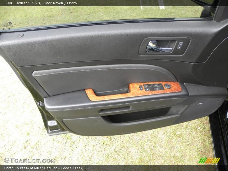 Door Panel of 2008 STS V8