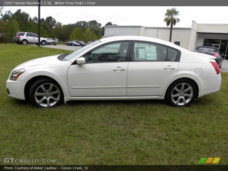Winter Frost Pearl / Frost 2007 Nissan Maxima 3.5 SE