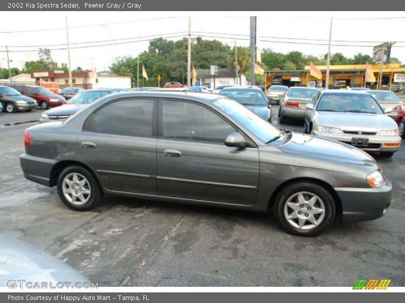 Pewter Gray / Gray 2002 Kia Spectra Sedan