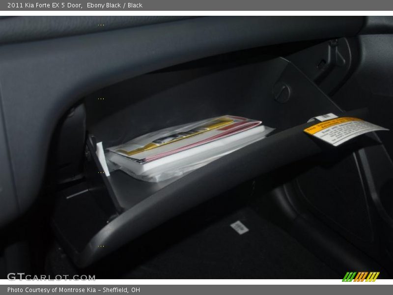 Ebony Black / Black 2011 Kia Forte EX 5 Door