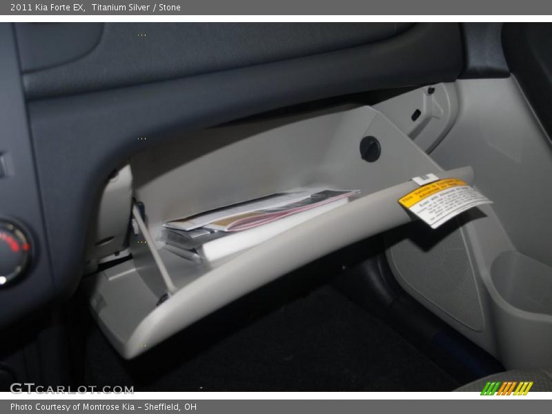 Titanium Silver / Stone 2011 Kia Forte EX