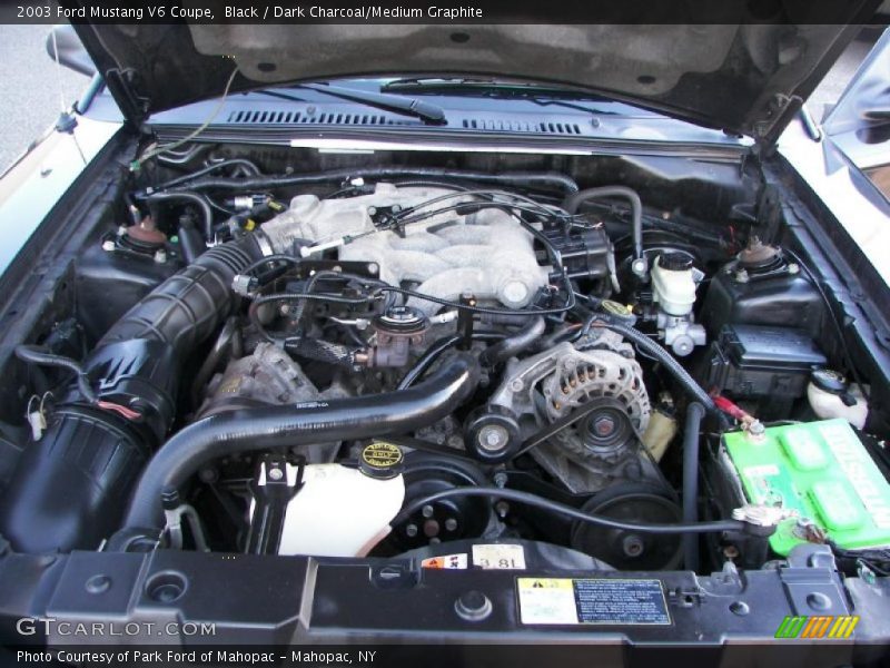 Black / Dark Charcoal/Medium Graphite 2003 Ford Mustang V6 Coupe