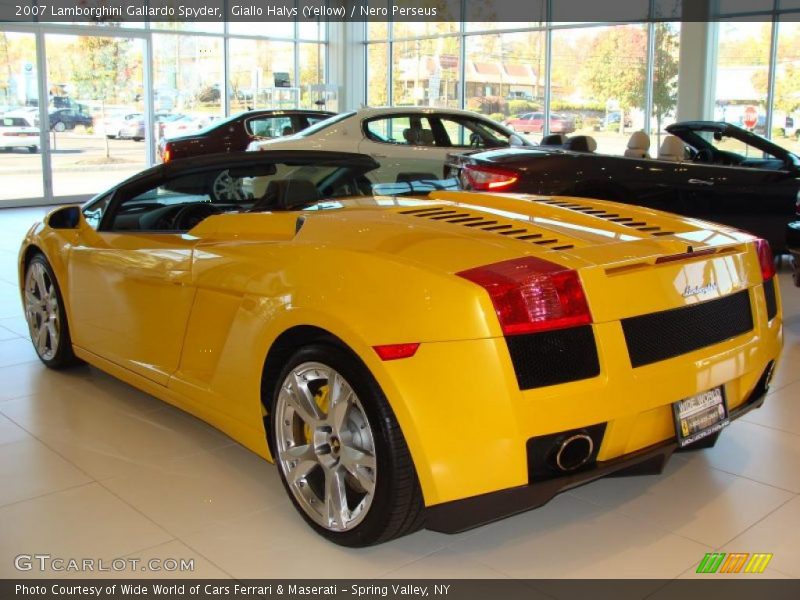 Giallo Halys (Yellow) / Nero Perseus 2007 Lamborghini Gallardo Spyder