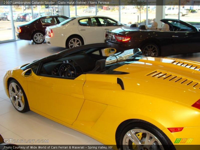 Giallo Halys (Yellow) / Nero Perseus 2007 Lamborghini Gallardo Spyder