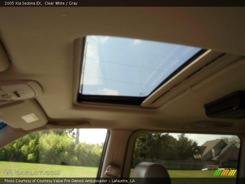 Clear White / Gray 2005 Kia Sedona EX