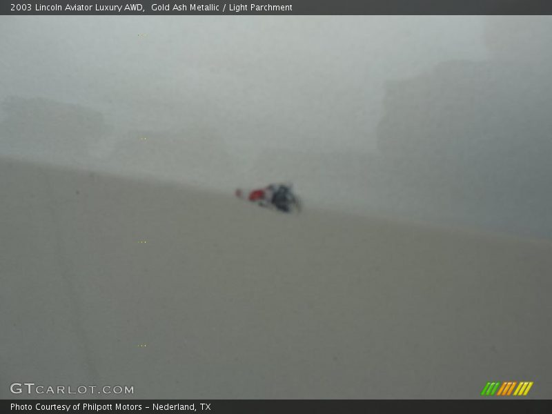 Gold Ash Metallic / Light Parchment 2003 Lincoln Aviator Luxury AWD