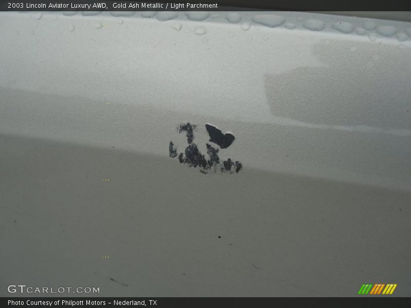 Gold Ash Metallic / Light Parchment 2003 Lincoln Aviator Luxury AWD