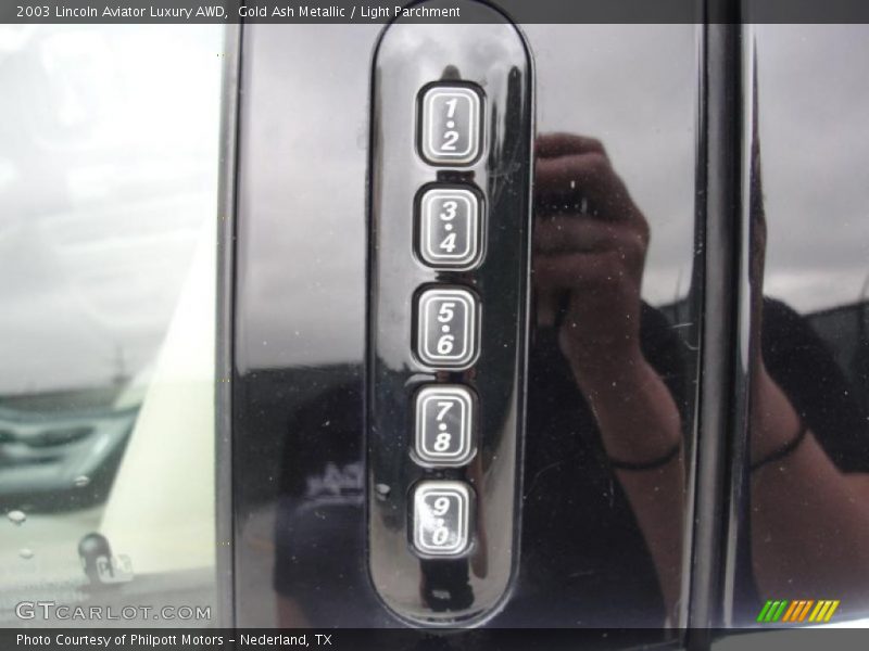 Gold Ash Metallic / Light Parchment 2003 Lincoln Aviator Luxury AWD
