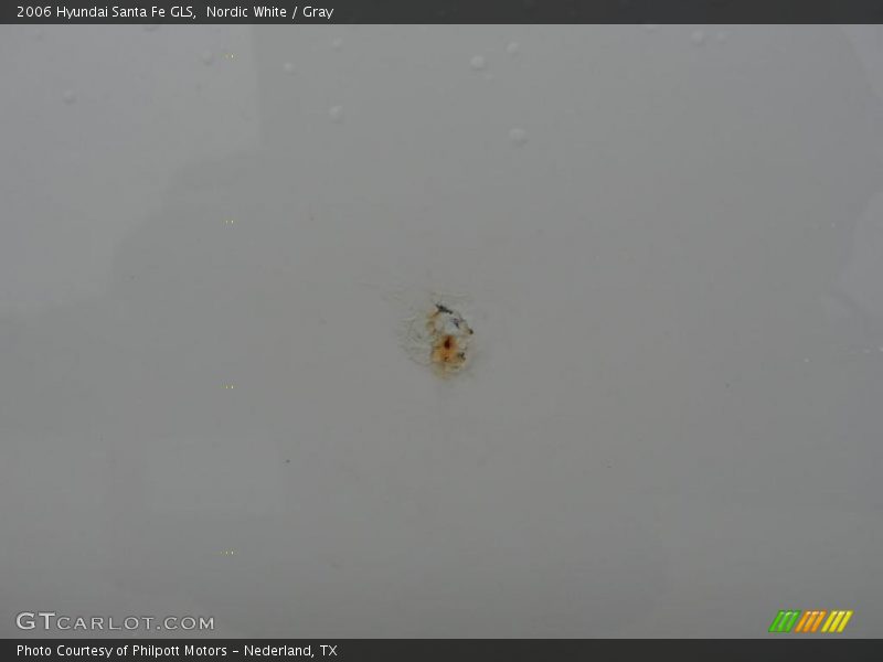 Nordic White / Gray 2006 Hyundai Santa Fe GLS