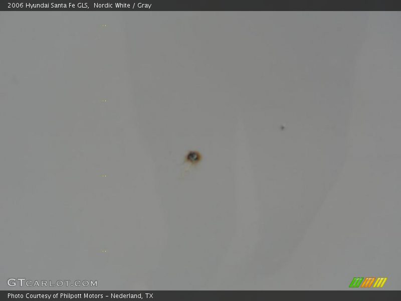 Nordic White / Gray 2006 Hyundai Santa Fe GLS