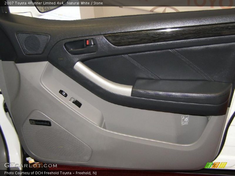 Door Panel of 2007 4Runner Limited 4x4