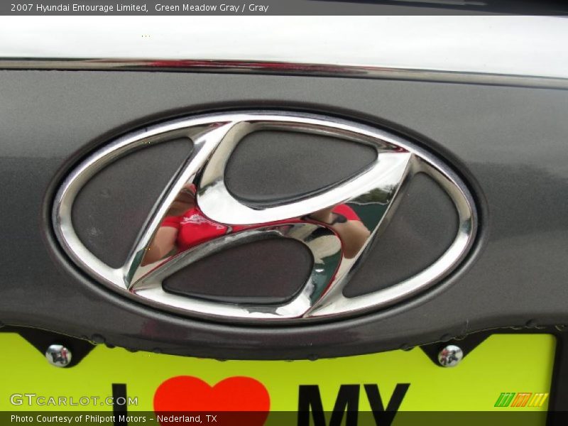 Green Meadow Gray / Gray 2007 Hyundai Entourage Limited
