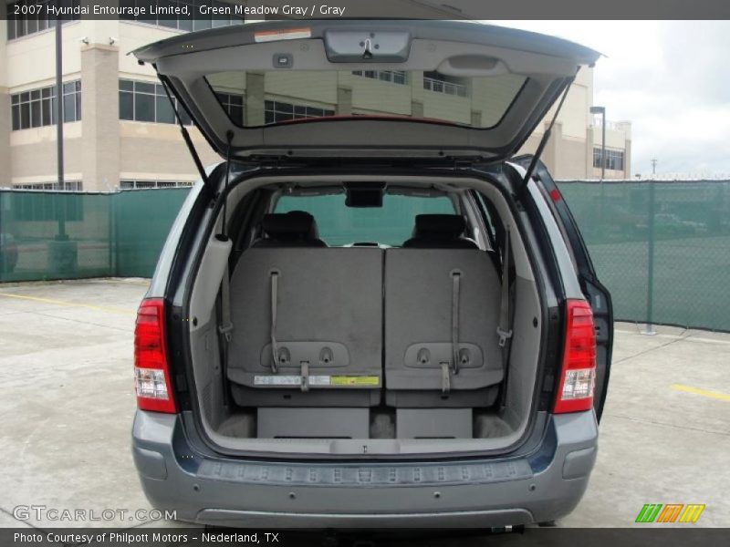 Green Meadow Gray / Gray 2007 Hyundai Entourage Limited