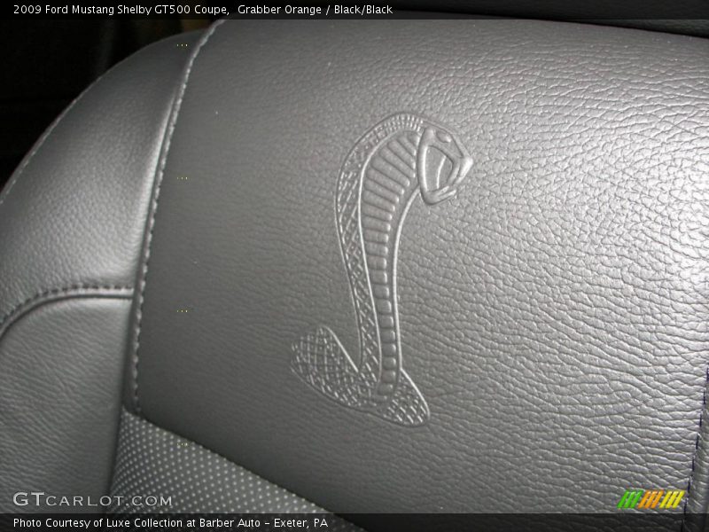  2009 Mustang Shelby GT500 Coupe Logo