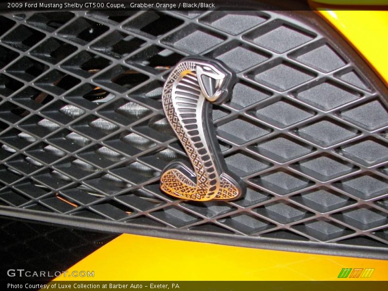  2009 Mustang Shelby GT500 Coupe Logo