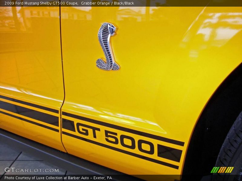  2009 Mustang Shelby GT500 Coupe Logo