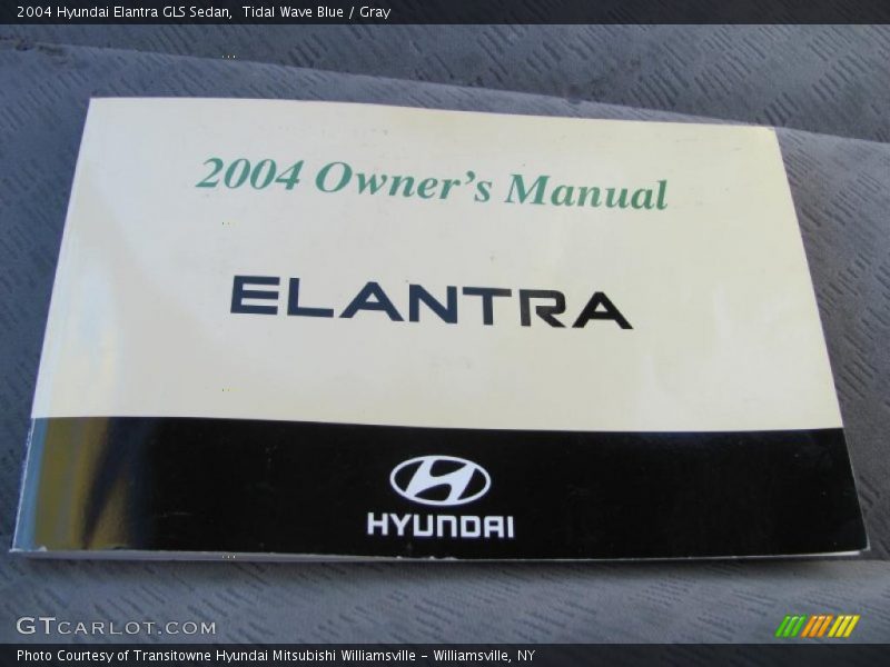 Tidal Wave Blue / Gray 2004 Hyundai Elantra GLS Sedan