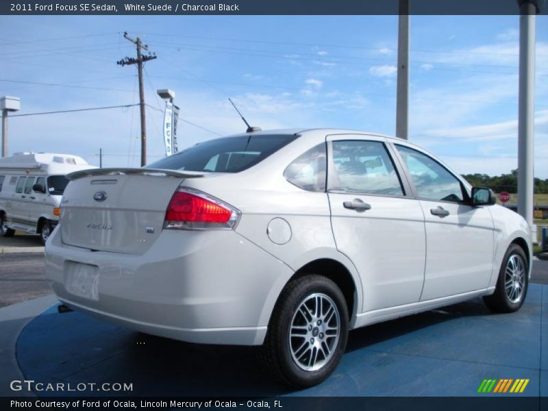 White Suede / Charcoal Black 2011 Ford Focus SE Sedan