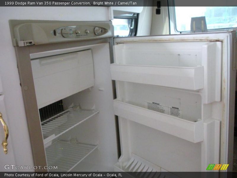 Bright White / Camel/Tan 1999 Dodge Ram Van 350 Passenger Conversion