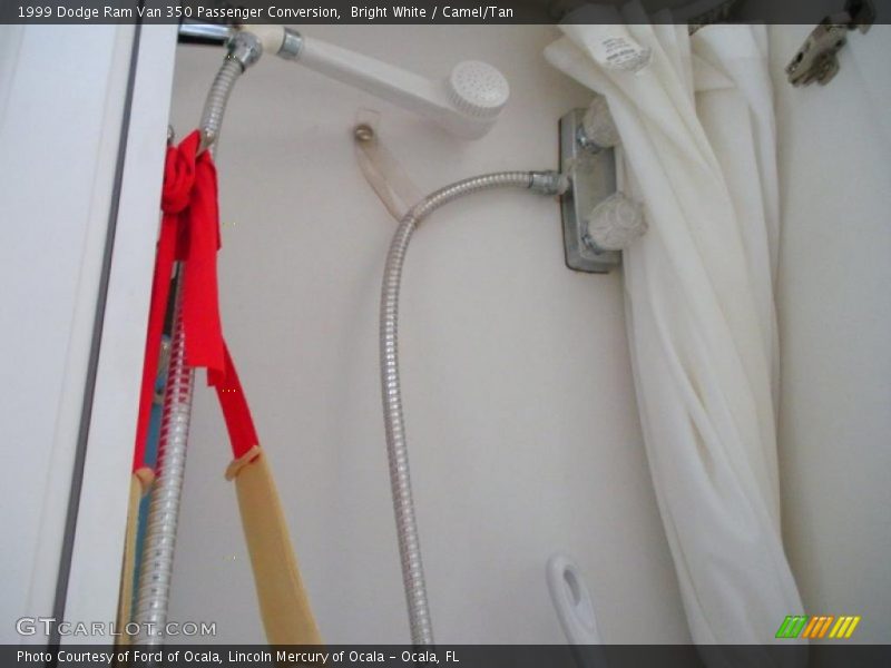 Bright White / Camel/Tan 1999 Dodge Ram Van 350 Passenger Conversion