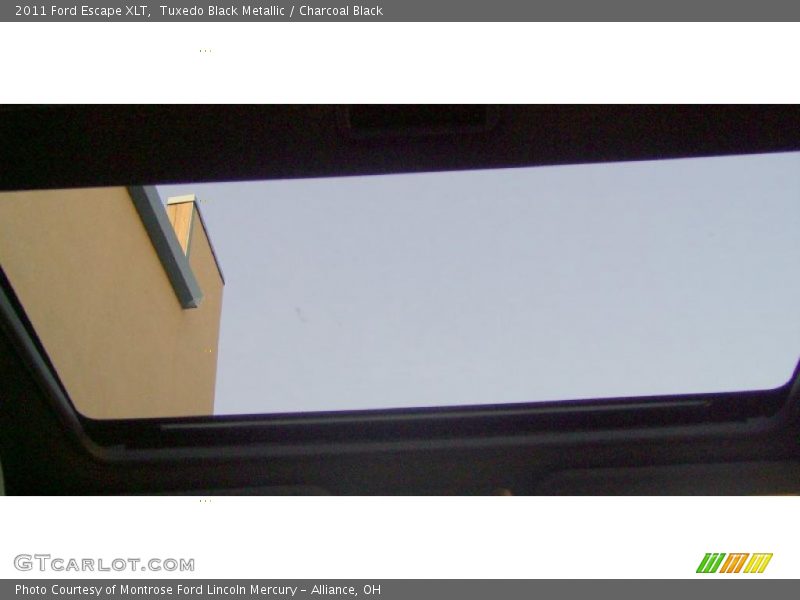 Tuxedo Black Metallic / Charcoal Black 2011 Ford Escape XLT