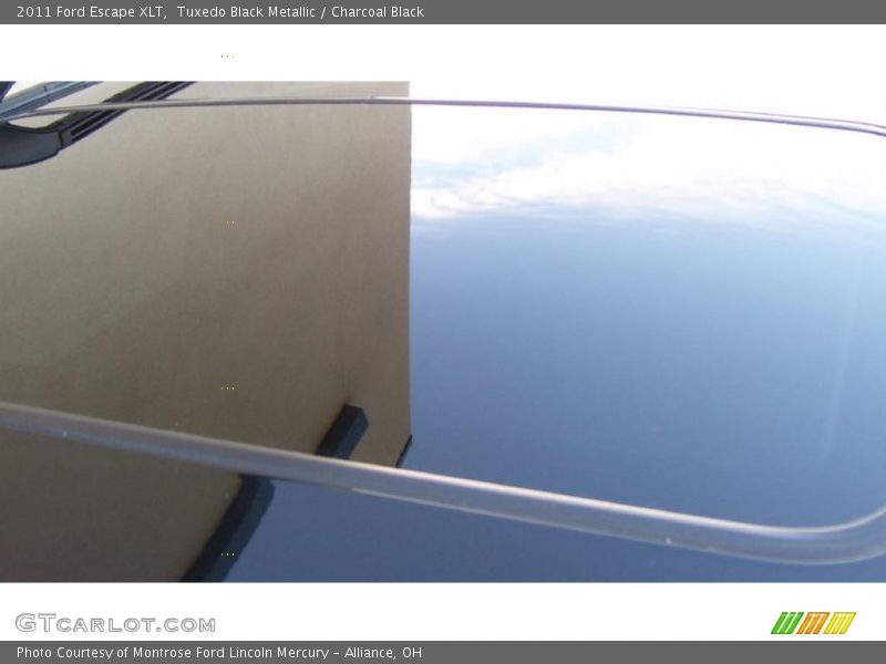 Tuxedo Black Metallic / Charcoal Black 2011 Ford Escape XLT