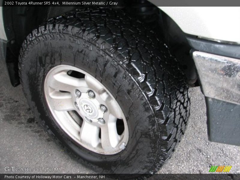 Millennium Silver Metallic / Gray 2002 Toyota 4Runner SR5 4x4