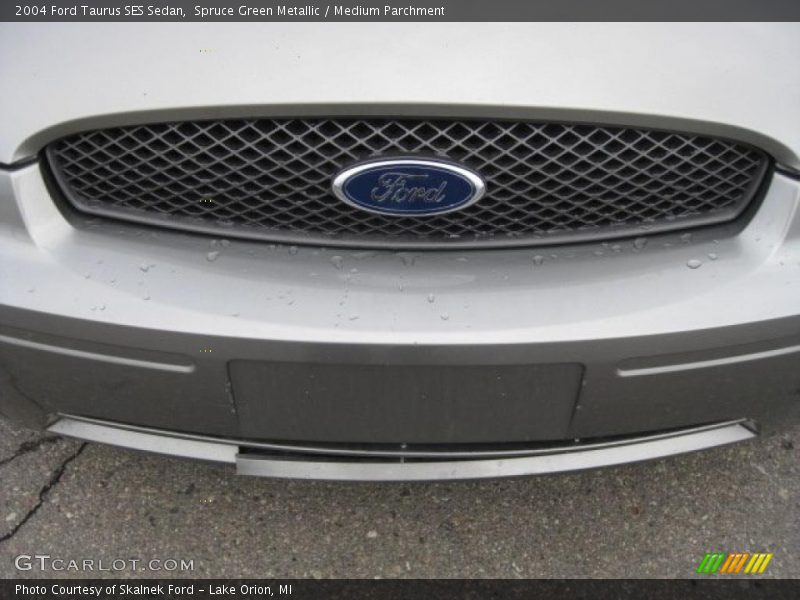 Spruce Green Metallic / Medium Parchment 2004 Ford Taurus SES Sedan