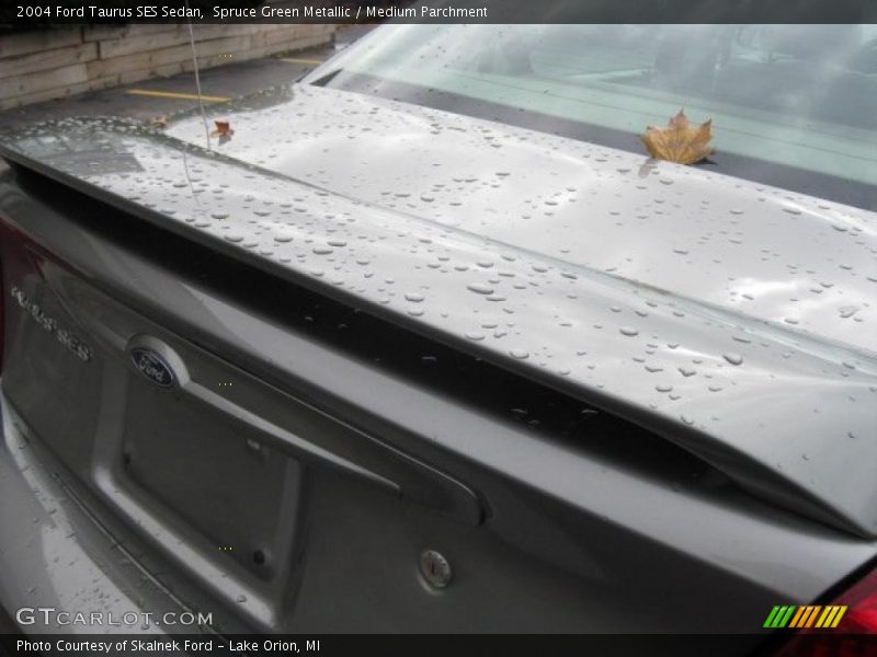 Spruce Green Metallic / Medium Parchment 2004 Ford Taurus SES Sedan