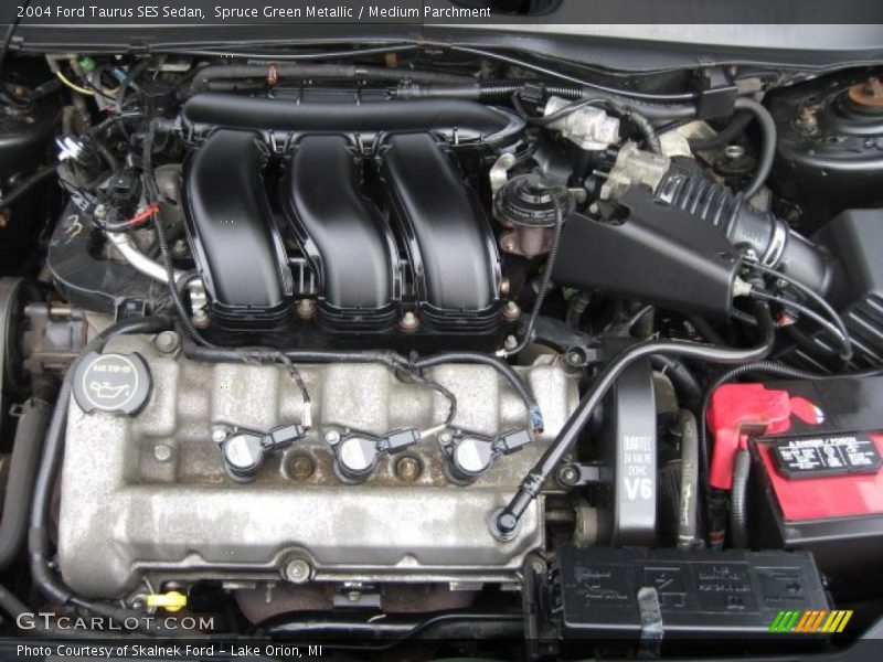 Spruce Green Metallic / Medium Parchment 2004 Ford Taurus SES Sedan