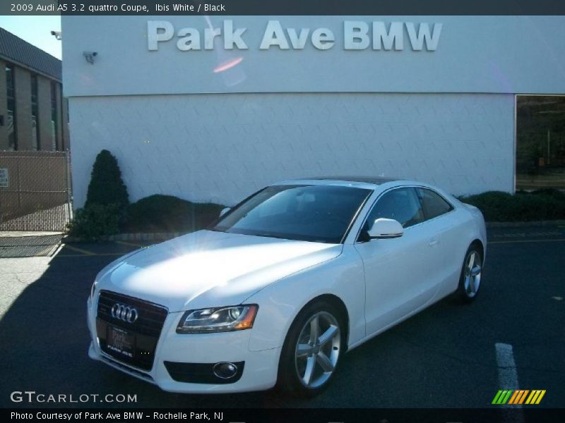 Ibis White / Black 2009 Audi A5 3.2 quattro Coupe