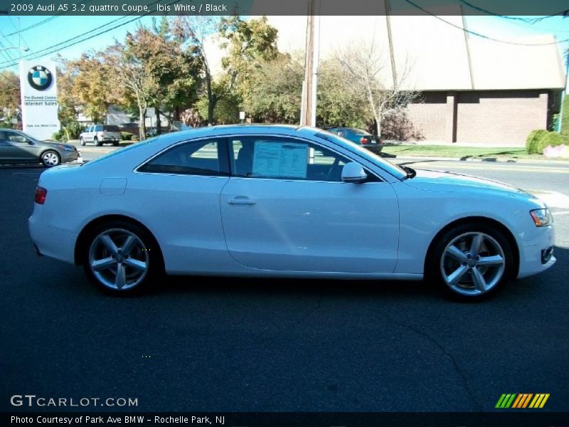 Ibis White / Black 2009 Audi A5 3.2 quattro Coupe