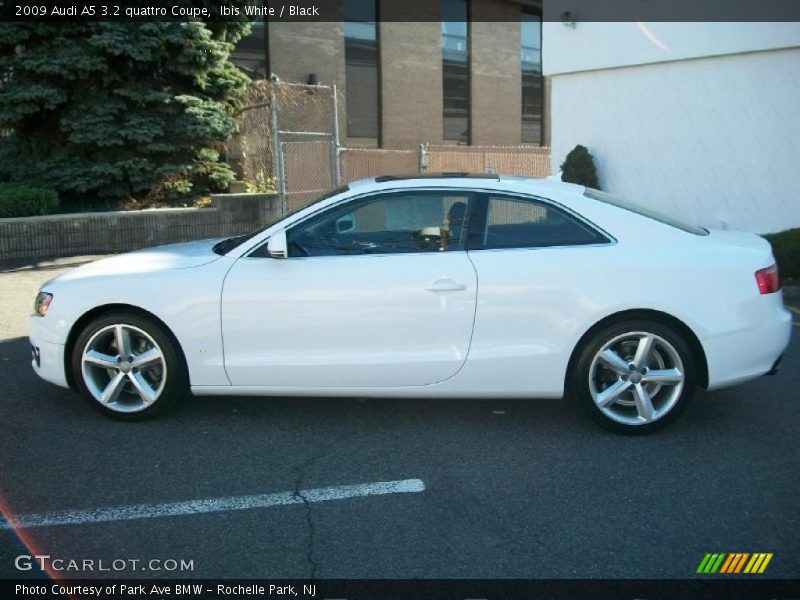 Ibis White / Black 2009 Audi A5 3.2 quattro Coupe
