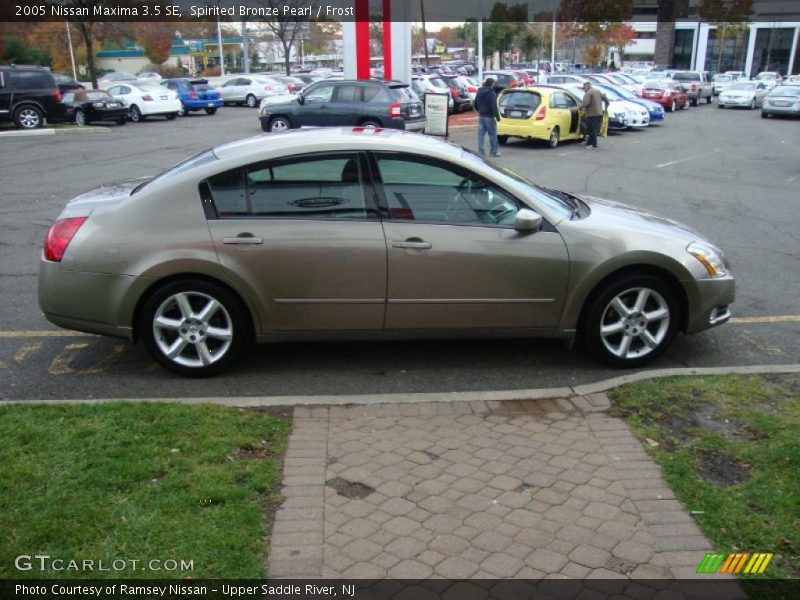 Spirited Bronze Pearl / Frost 2005 Nissan Maxima 3.5 SE
