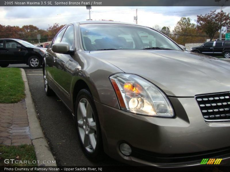 Spirited Bronze Pearl / Frost 2005 Nissan Maxima 3.5 SE