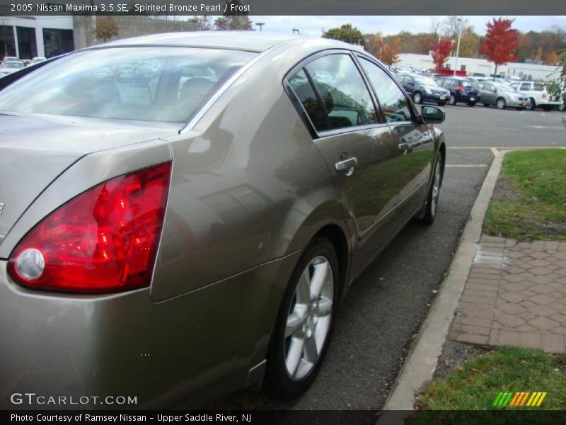 Spirited Bronze Pearl / Frost 2005 Nissan Maxima 3.5 SE