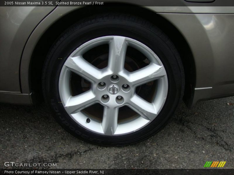 Spirited Bronze Pearl / Frost 2005 Nissan Maxima 3.5 SE